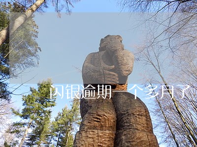 闪银逾期一个多月了 闪银逾期一个多月了