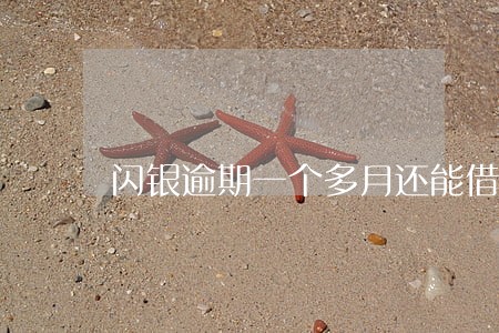闪银逾期一个多月还能借吗 闪银逾期一个多月还能借吗