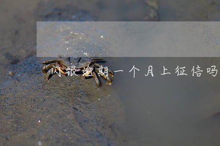 闪银逾期一个月上征信吗 闪银逾期一个月上征信吗
