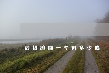 闪银逾期一个月多少钱 闪银逾期一个月多少钱