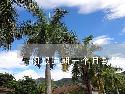 闪银逾期一个月封印 闪银逾期一个月封印