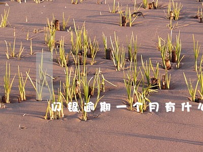 闪银逾期一个月有什么后果