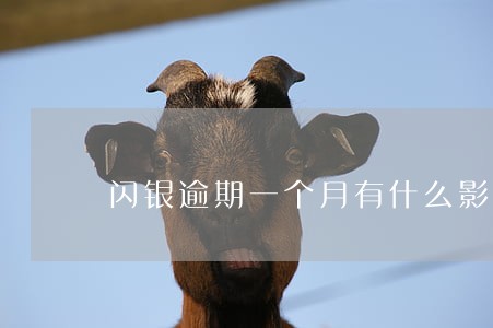 闪银逾期一个月有什么影响 闪银逾期一个月有什么影响