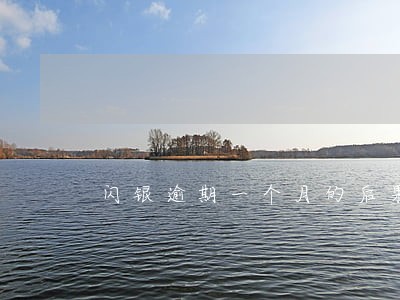 闪银逾期一个月的后果 闪银逾期一个月的后果