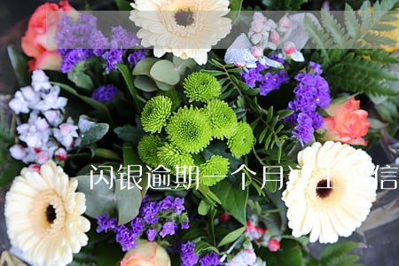 闪银逾期一个月说上征信 闪银逾期一个月说上征信