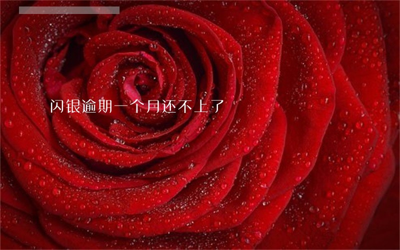 闪银逾期一个月还不上了 闪银逾期一个月还不上了
