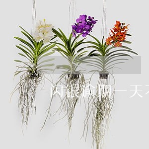 闪银逾期一天不能用了