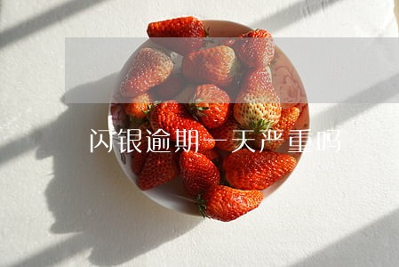 闪银逾期一天严重吗 闪银逾期一天严重吗