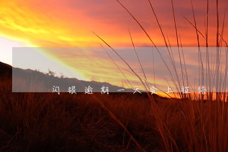 闪银逾期一天会上征信 闪银逾期一天会上征信