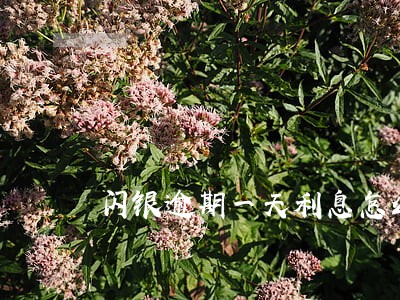 闪银逾期一天利息怎么算 闪银逾期一天利息怎么算