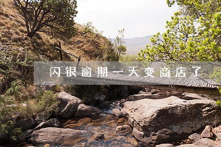 闪银逾期一天变商店了 闪银逾期一天变商店了