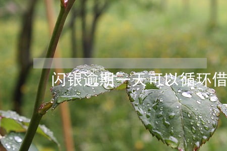 闪银逾期一天可以循环借出来吗 闪银逾期一天可以循环借出来吗