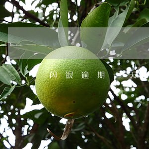 闪银逾期一天哼哼不见了