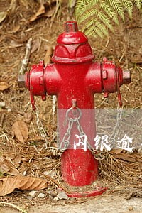 闪银逾期一天多多少 闪银逾期一天多多少