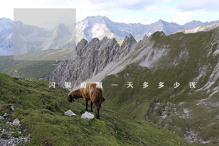 闪银逾期一天多多少钱 闪银逾期一天多多少钱