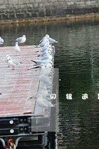 闪银逾期一天多少钱