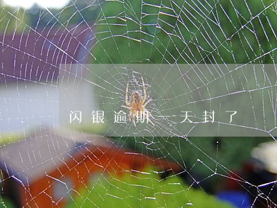 闪银逾期一天封了