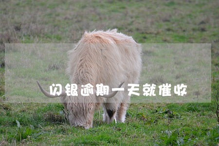 闪银逾期一天就催收 闪银逾期一天就催收