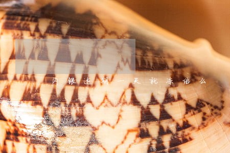 闪银逾期一天就冻结么 闪银逾期一天就冻结么
