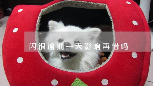 闪银逾期一天影响再借吗 闪银逾期一天影响再借吗