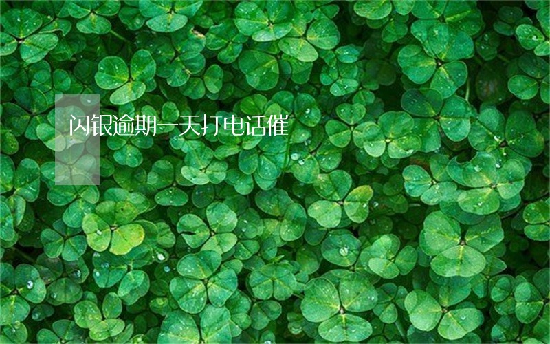 闪银逾期一天打电话催 闪银逾期一天打电话催