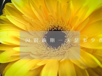 闪银逾期一天是多少费用