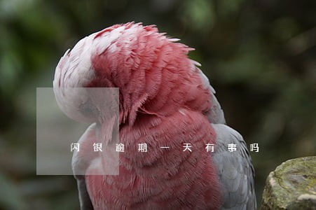 闪银逾期一天有事吗 闪银逾期一天有事吗