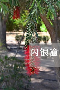 闪银逾期一天有事情没 闪银逾期一天有事情没