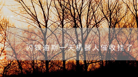 闪银逾期一天机器人催收挂了 闪银逾期一天机器人催收挂了
