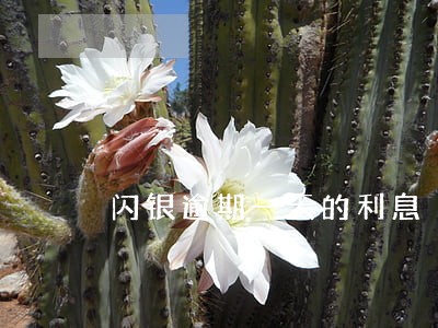 闪银逾期一天的利息 闪银逾期一天的利息