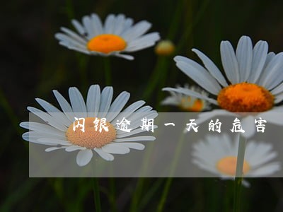 闪银逾期一天的危害 闪银逾期一天的危害