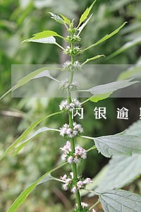 闪银逾期一天的后果 闪银逾期一天的后果