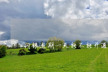 闪银逾期一天能不能开通延期 闪银逾期一天能不能开通延期