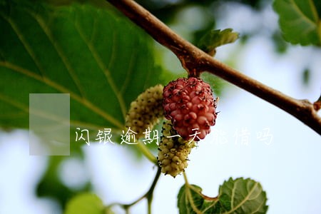 闪银逾期一天能借吗 闪银逾期一天能借吗