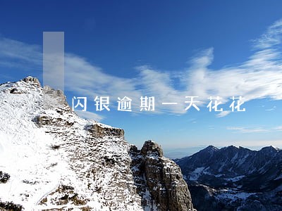 闪银逾期一天花花