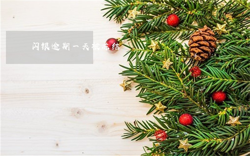 闪银逾期一天被冻结 闪银逾期一天被冻结