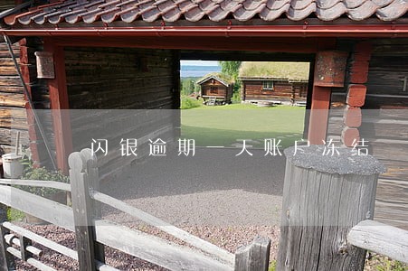 闪银逾期一天账户冻结 闪银逾期一天账户冻结