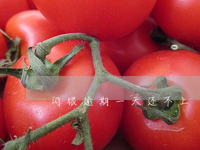 闪银逾期一天还不上 闪银逾期一天还不上