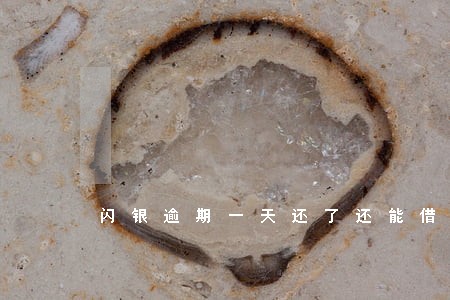 闪银逾期一天还了还能借吗 闪银逾期一天还了还能借吗
