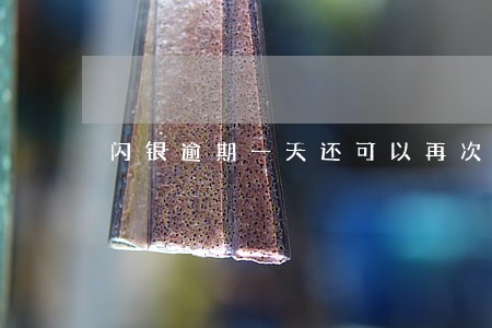 闪银逾期一天还可以再次借吗 闪银逾期一天还可以再次借吗