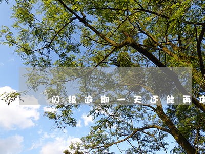 闪银逾期一天还能再借吗 闪银逾期一天还能再借吗