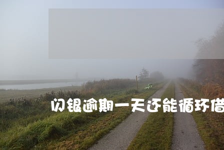 闪银逾期一天还能循环借出来吗 闪银逾期一天还能循环借出来吗
