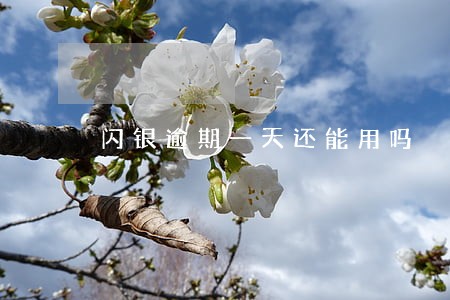 闪银逾期一天还能用吗 闪银逾期一天还能用吗
