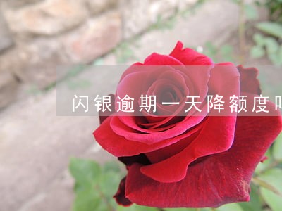 闪银逾期一天降额度吗 闪银逾期一天降额度吗