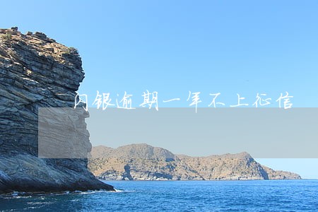 闪银逾期一年不上征信