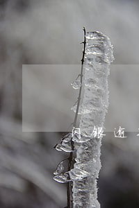 闪银逾期一年以上了 闪银逾期一年以上了