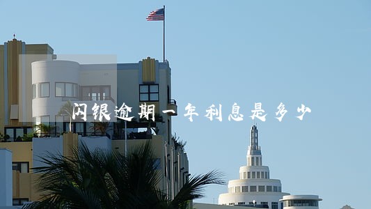 闪银逾期一年利息是多少 闪银逾期一年利息是多少