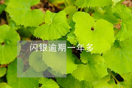 闪银逾期一年多 闪银逾期一年多