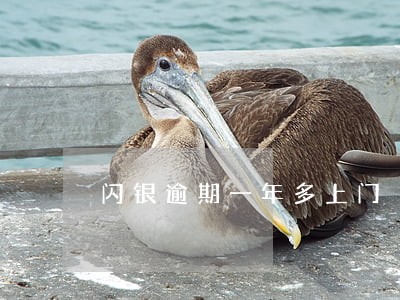 闪银逾期一年多上门 闪银逾期一年多上门