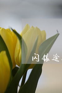 闪银逾期一年没有上征信 闪银逾期一年没有上征信